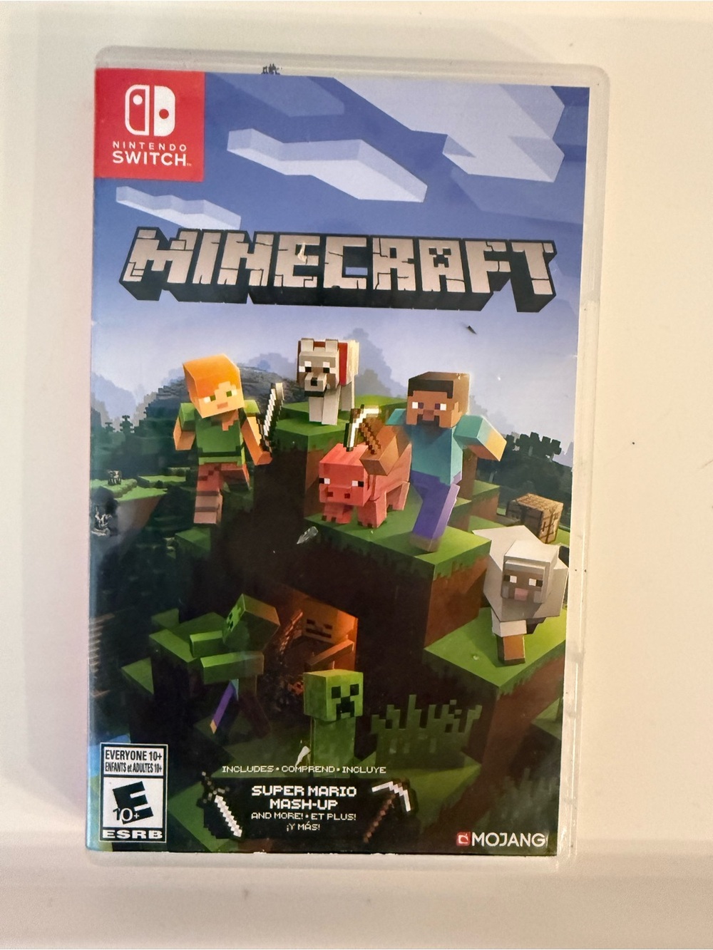 Nintendo Minecraft - Blue & Green Cover Art